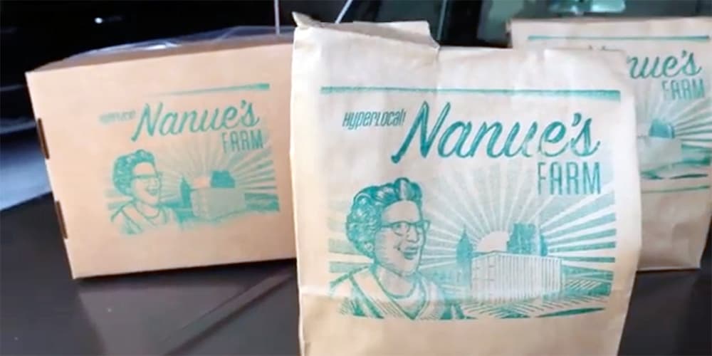 A Tour Of The Farm — A Look Inside Hydroponic Farming at Nanue's Farm