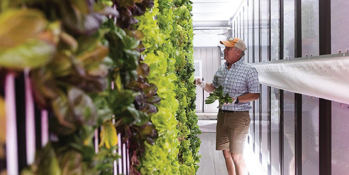 A Former Raleigh Homebuilder Hung Up His Hard Hat to Run a Modular Farm